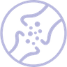 Lucid Labs