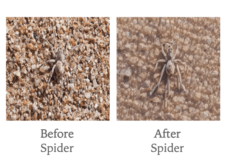 Gaussian Glasses Screenshot